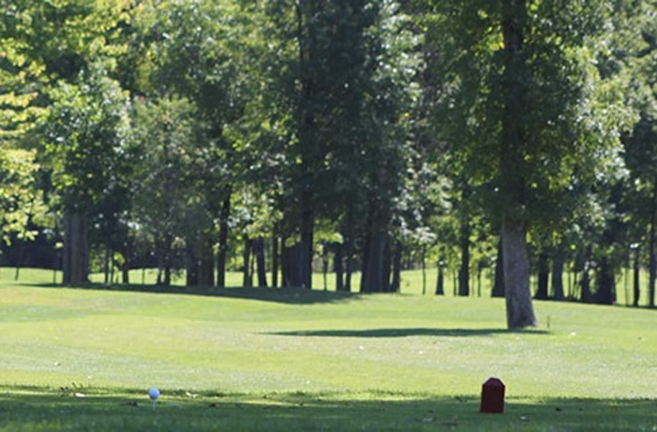 The Meadows Golf & Country Club