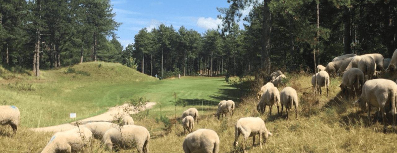 Noordwijkse Golfclub
