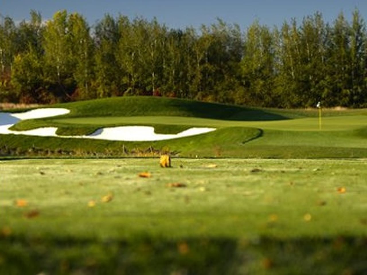 Marshes Golf Club (Marshes)