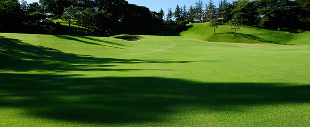 Kawasaki Kokusai Ikuta Ryokuchi Golf Course