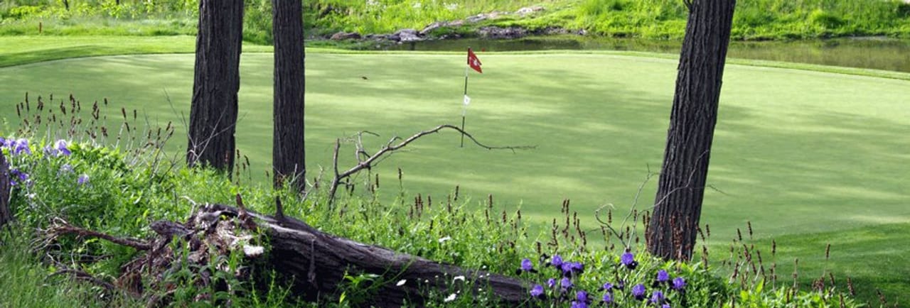 Coyote Creek Golf Club