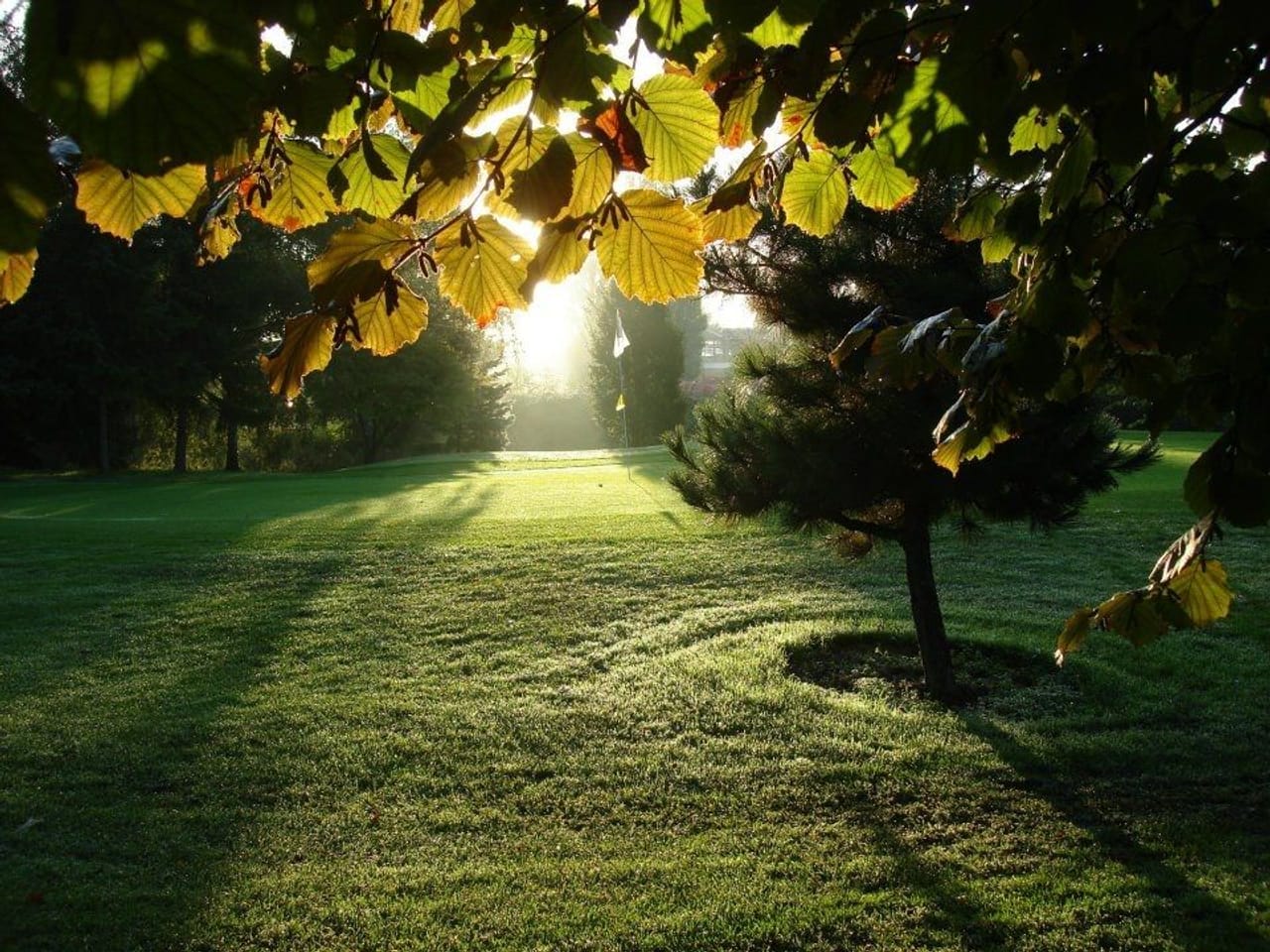 Golf Centrum Rotterdam