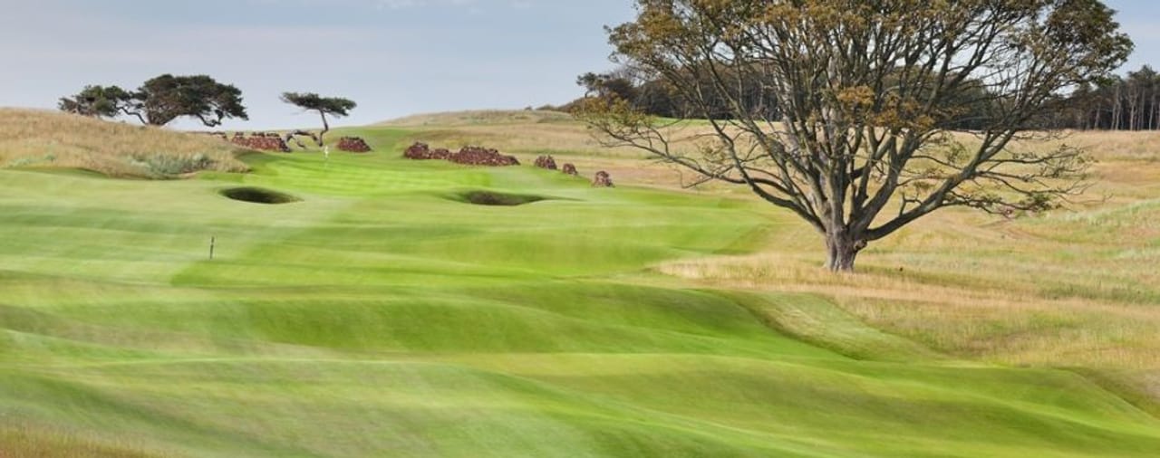 The Renaissance Club