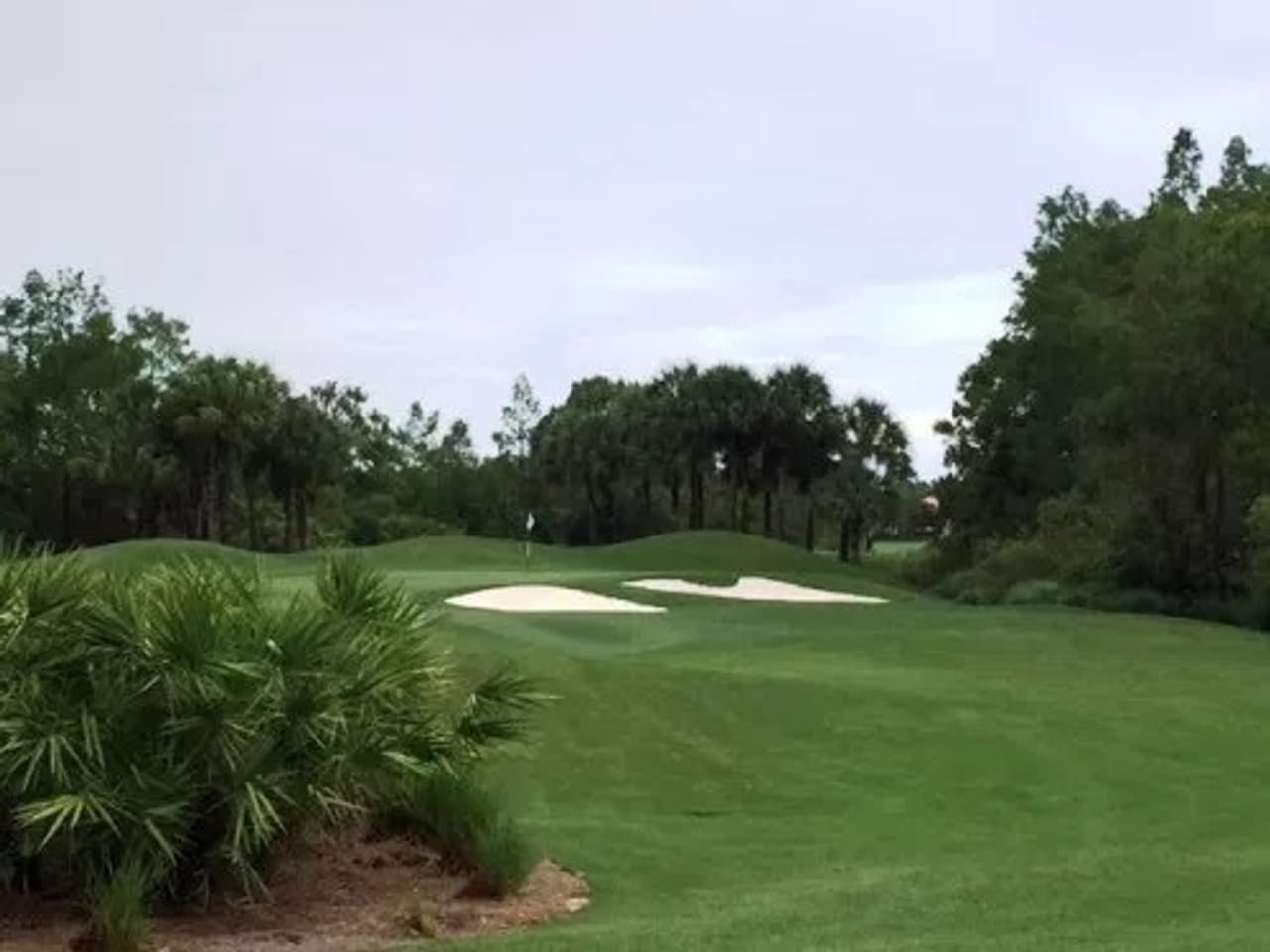 Shadow Wood Country Club (South)