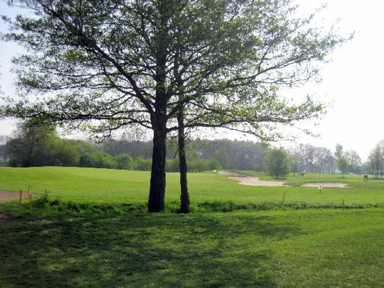Golfclub Weselerwald (18h)