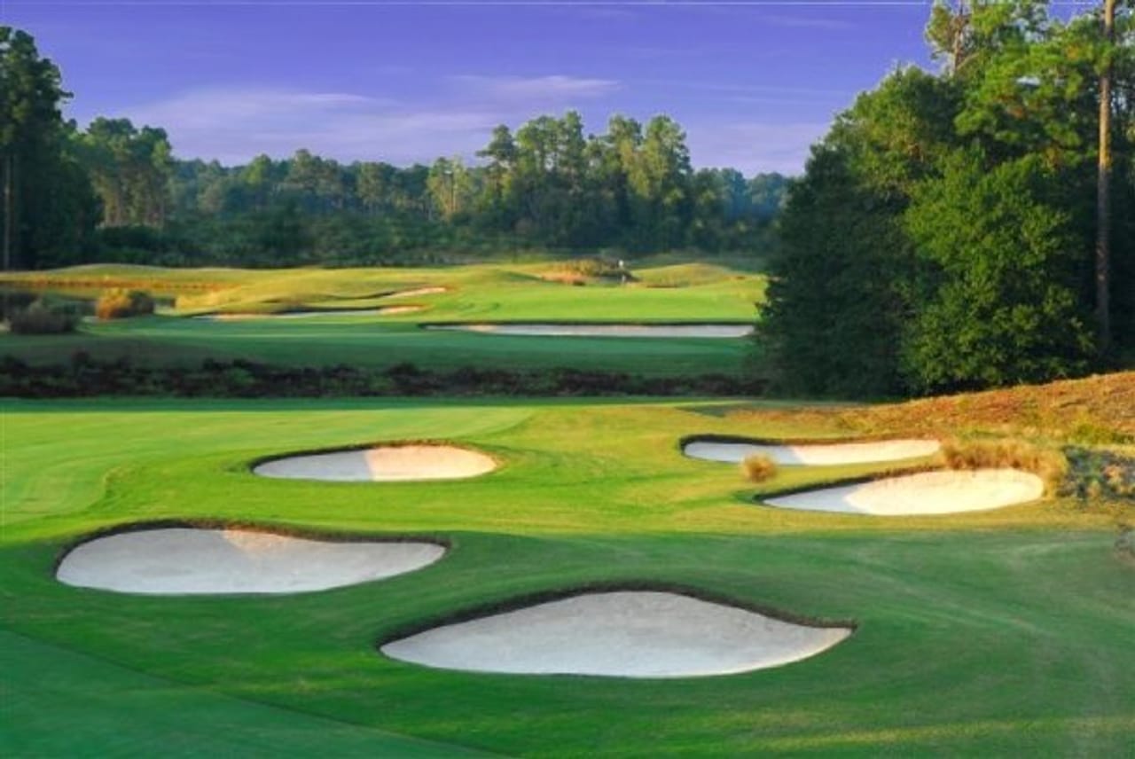 Wild Wing Plantation (The Hummingbird)