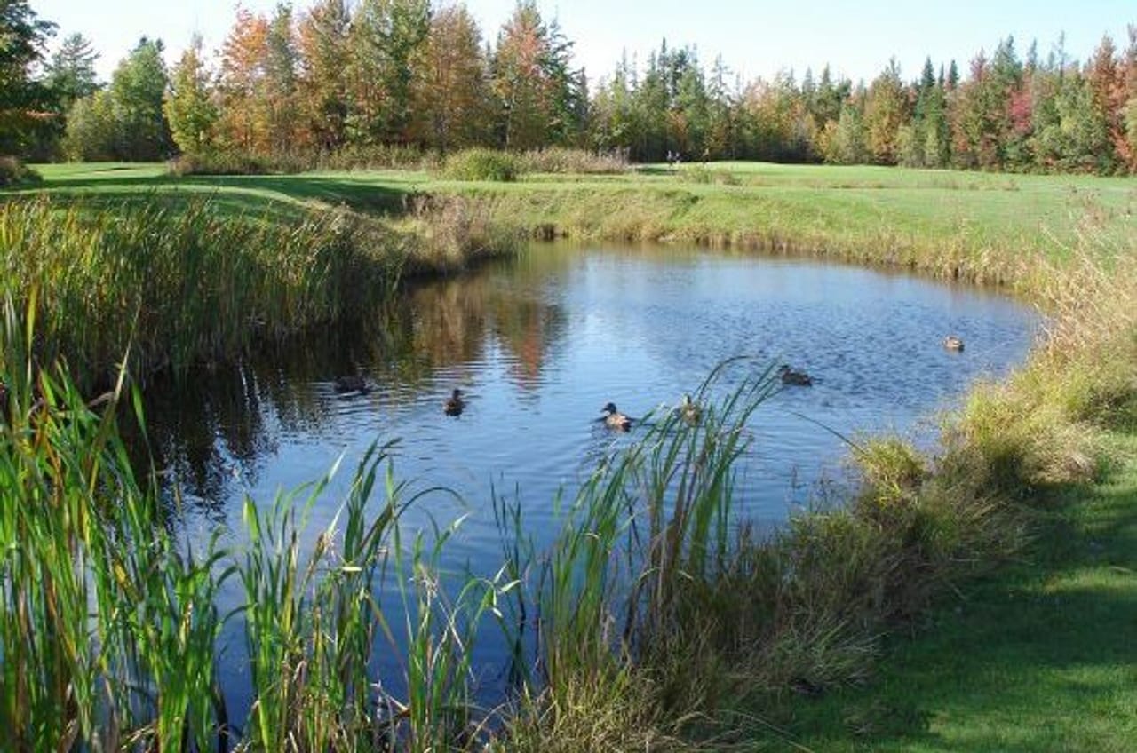Club de Golf Venise Magog (Deauville)