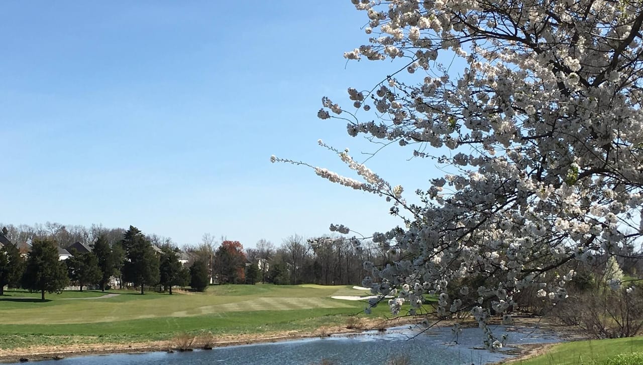 South Riding Golf Club