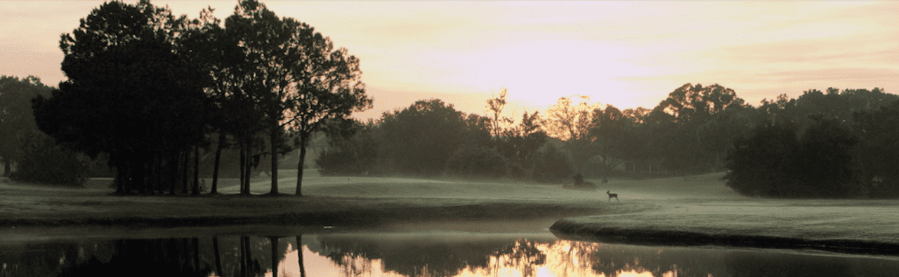 The Eagles Golf Club (Forest)