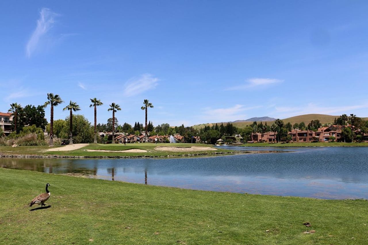 Canyon Lakes Golf Course - San Ramon