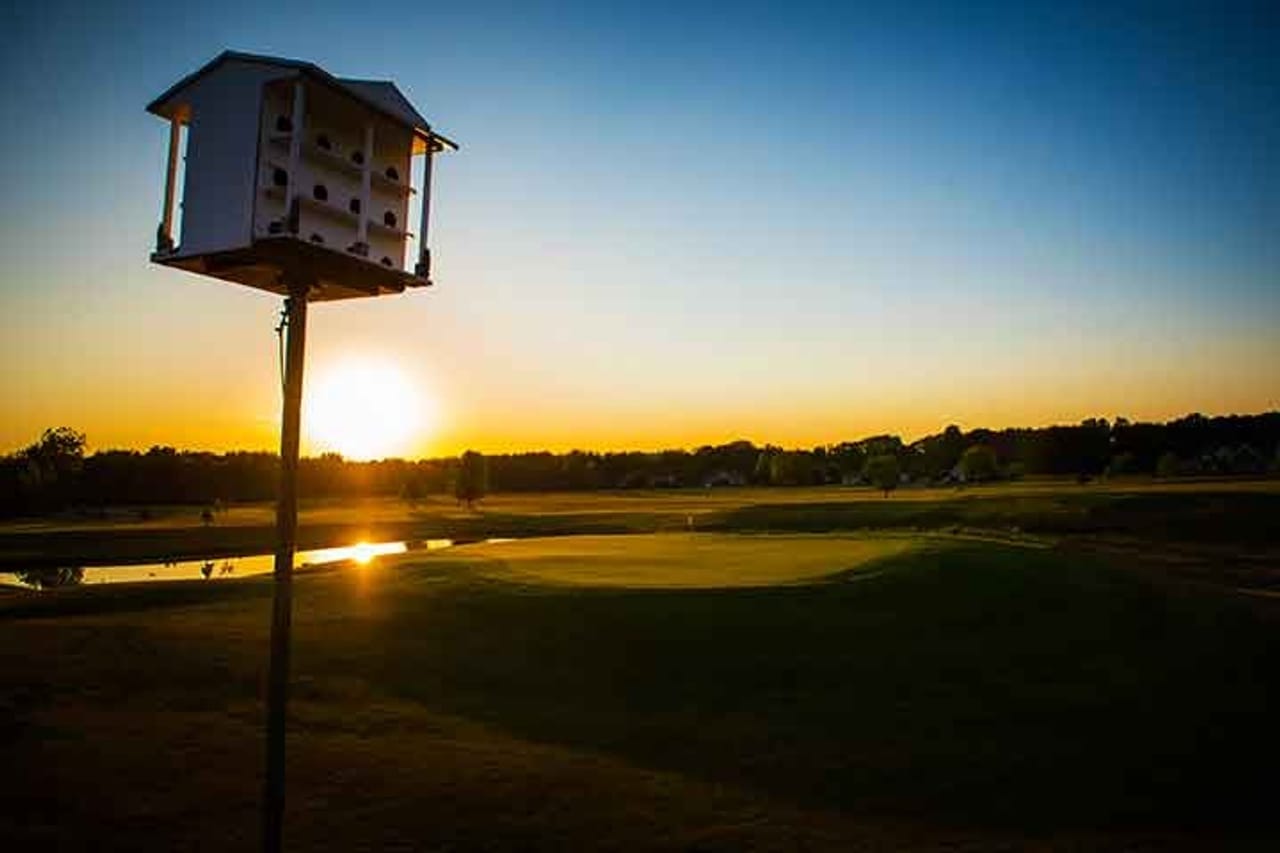 Bella Vista Golf Course