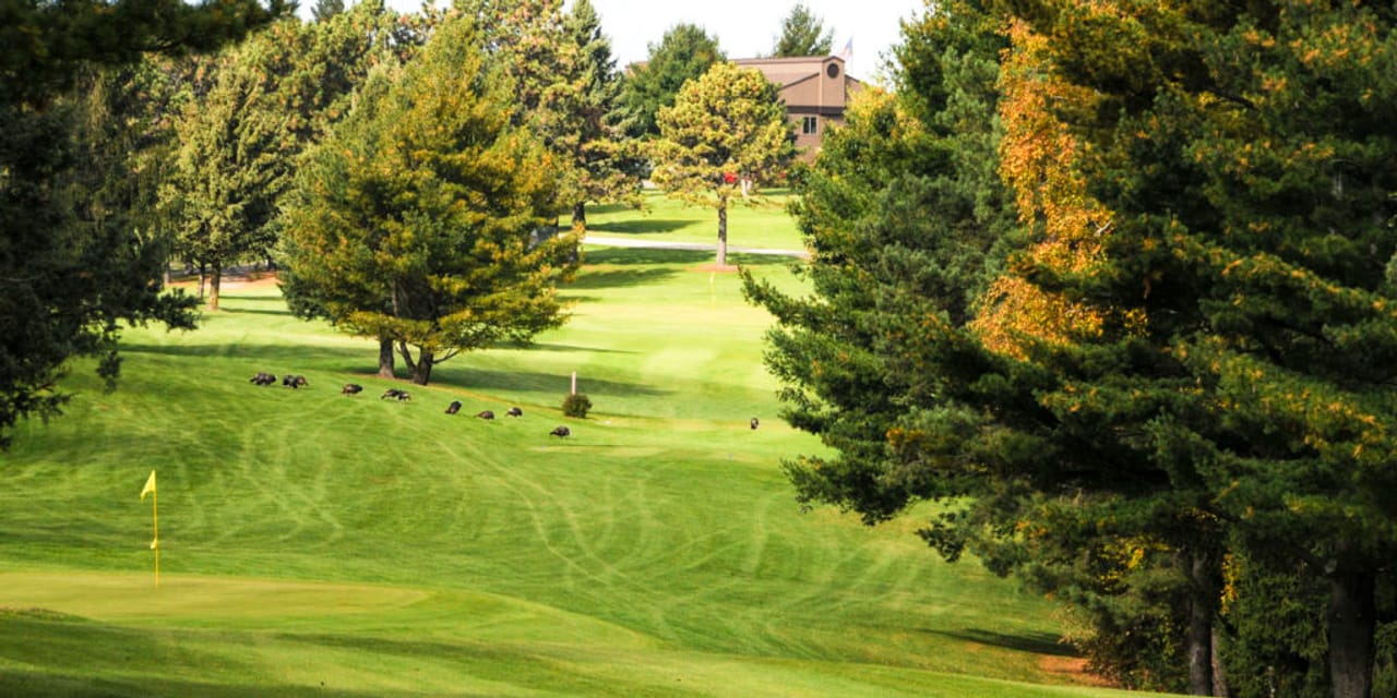 Mount Frontenac Golf Course