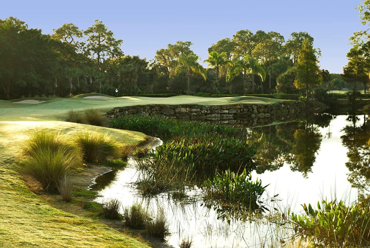 The Forest Country Club (Bear)