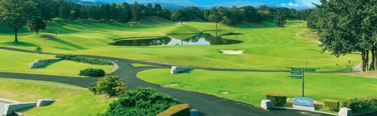 Golf Club Twin Fields (Gold)