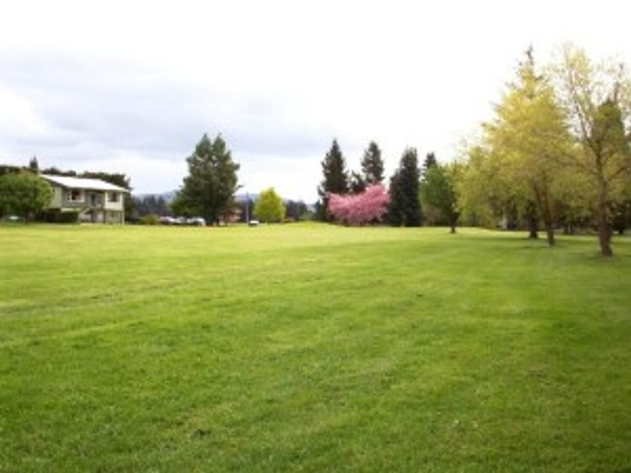 Lumsden Golf Club