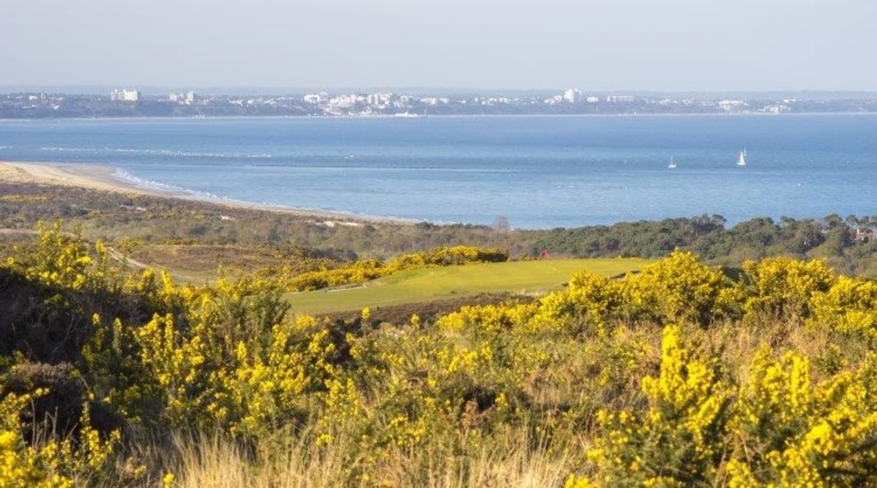 Isle of Purbeck Golf Club (Purbeck)