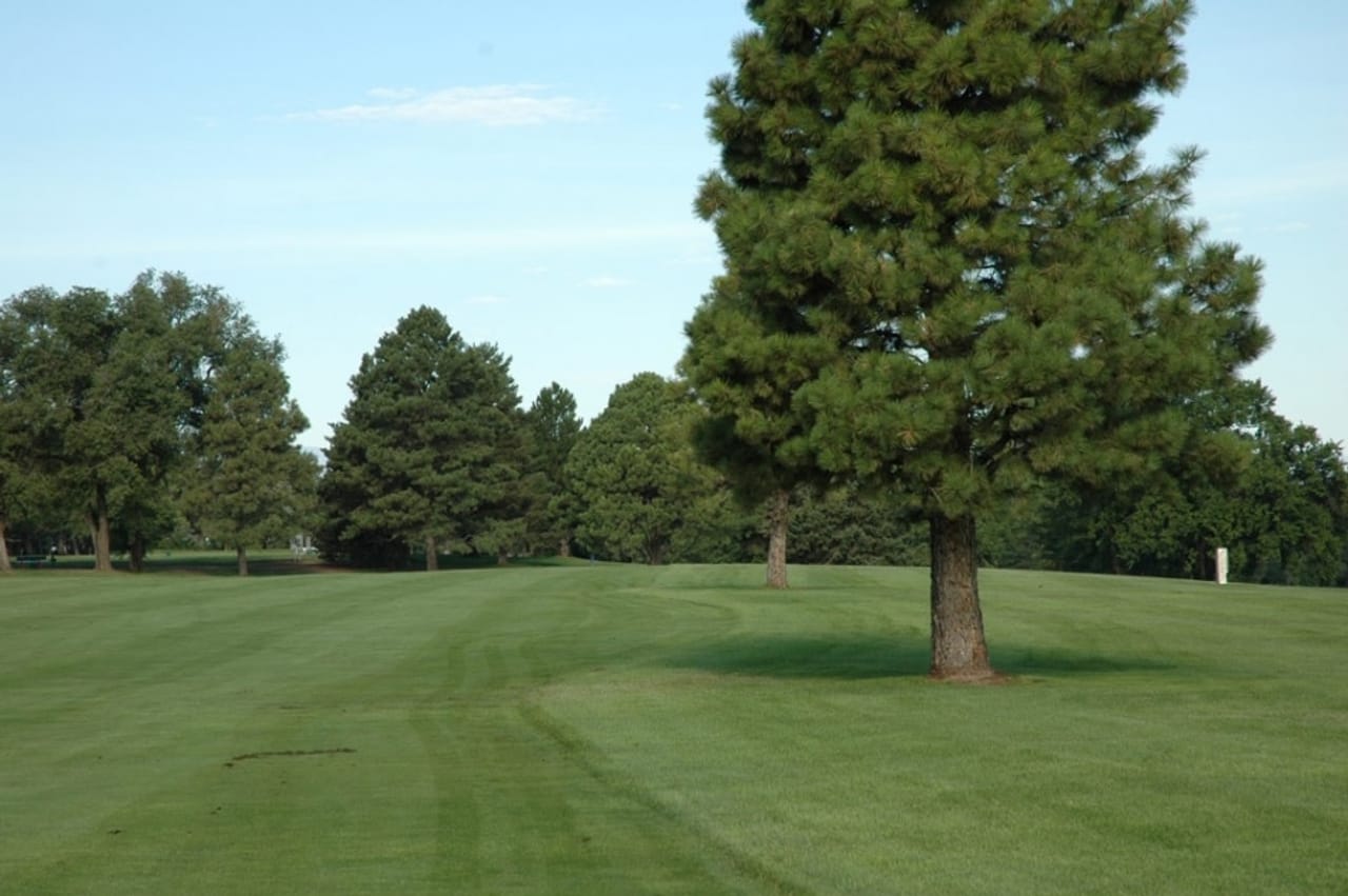 Elmwood Golf Course (Executive)