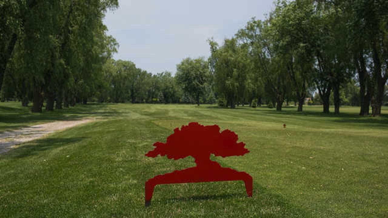 Rochester Place Golf Club