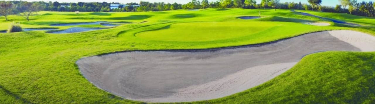 Innisbrook Resort (South)