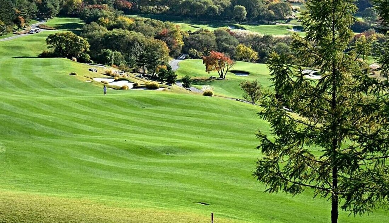 Welli Hill Park Country Club (North)