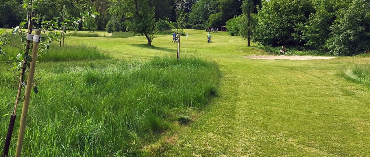 Brændeskovgård Golf