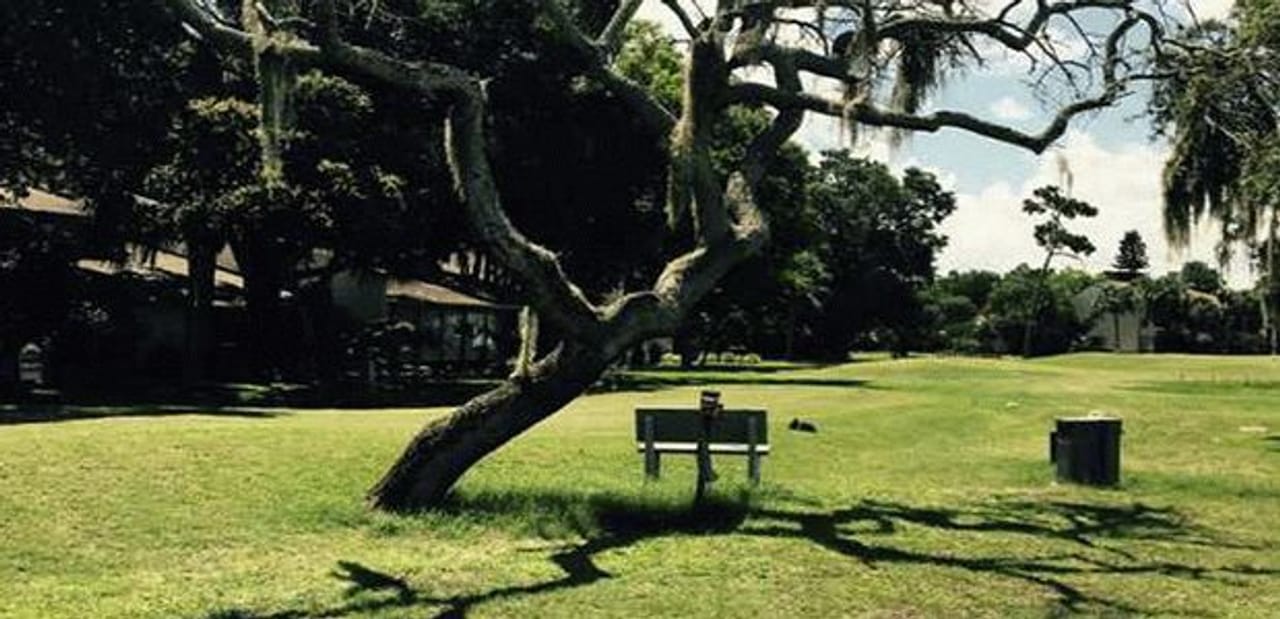 Bird Bay Executive Golf Club