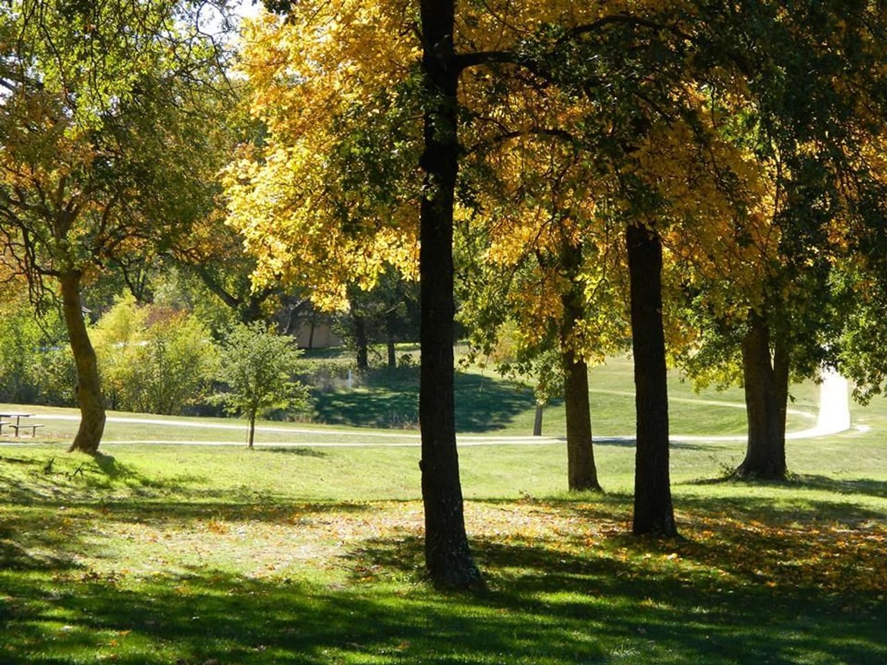 Falconhead Resort & Country Club