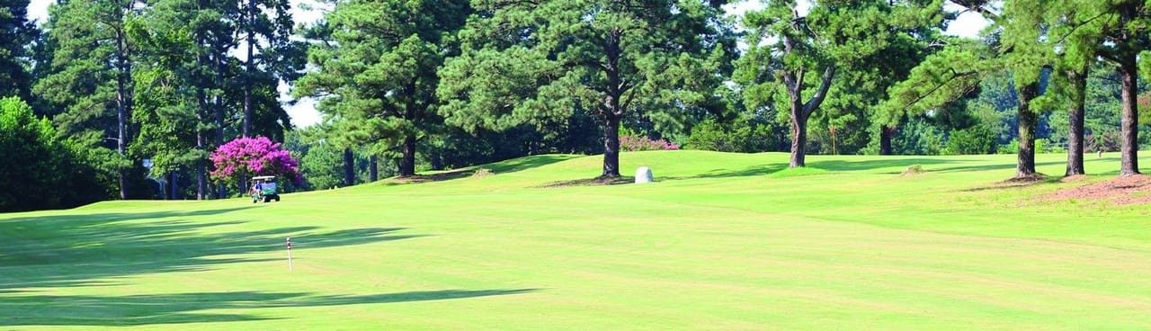 Raleigh Golf Association (Public)
