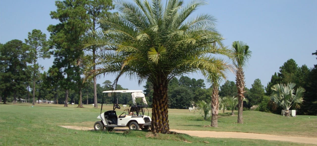 The Palms Course