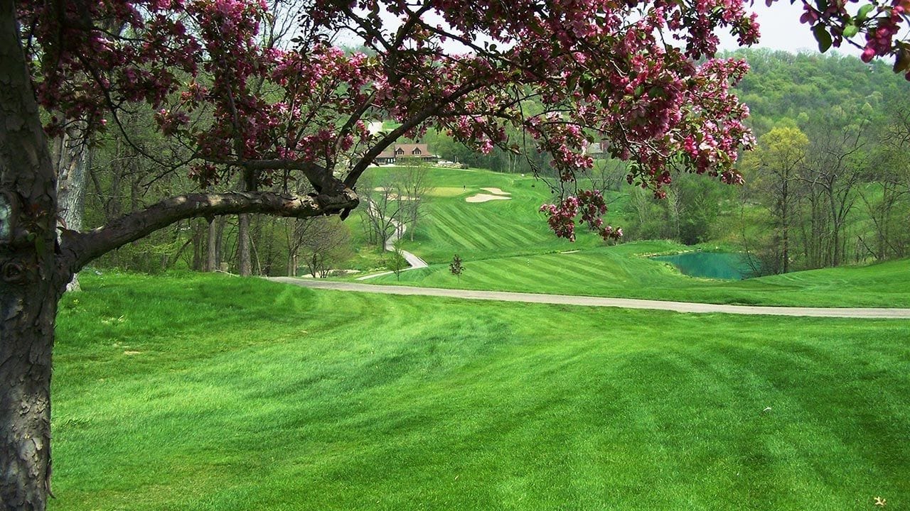 Eagle Ridge Resort (South)