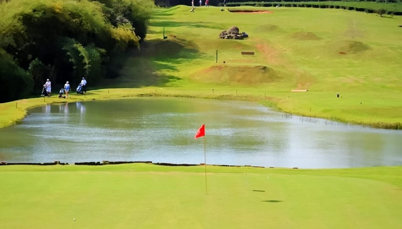 Camellias Golf Campos De Té