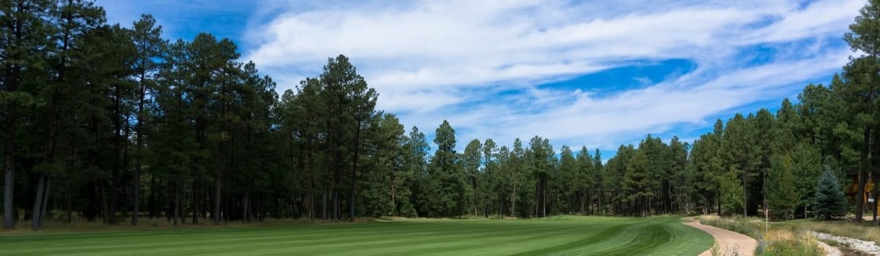 White Mountain Country Club