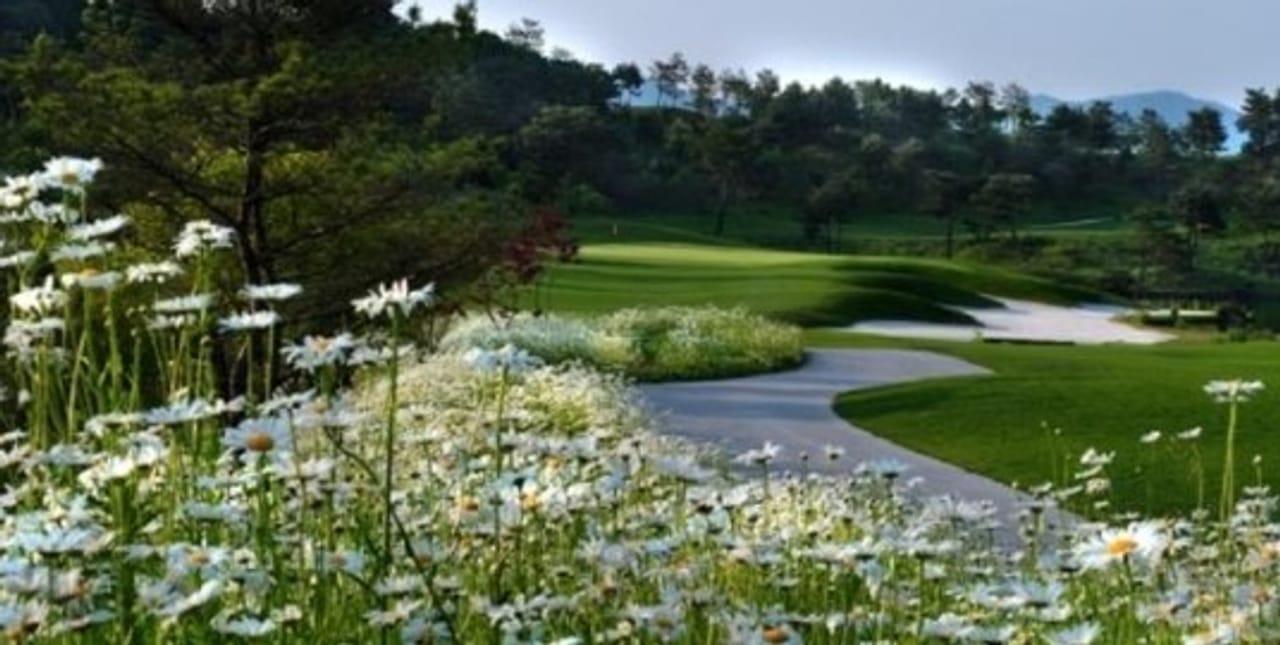 Bear Creek Golf Club Pocheon (Creek)