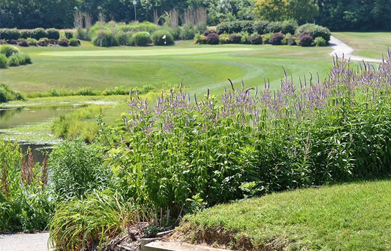 Eagle Springs Golf Course (Executive)