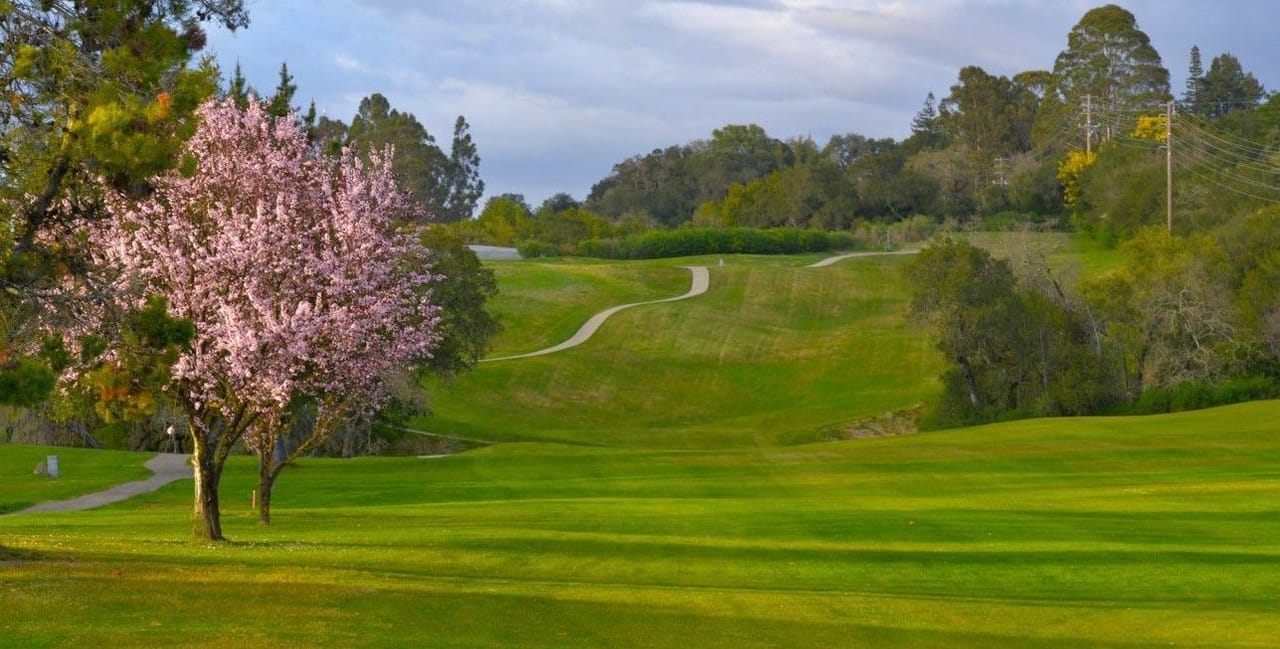 Healdsburg Golf Club at Tayman Park