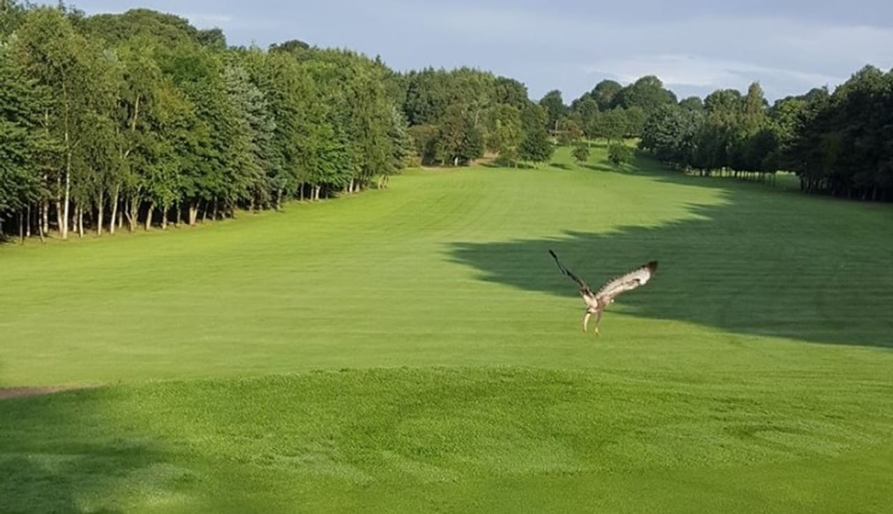 Spofforth Golf Club