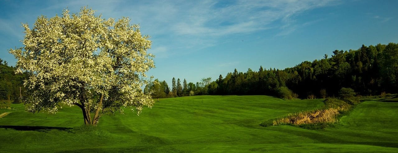 Club de Golf Edelweiss