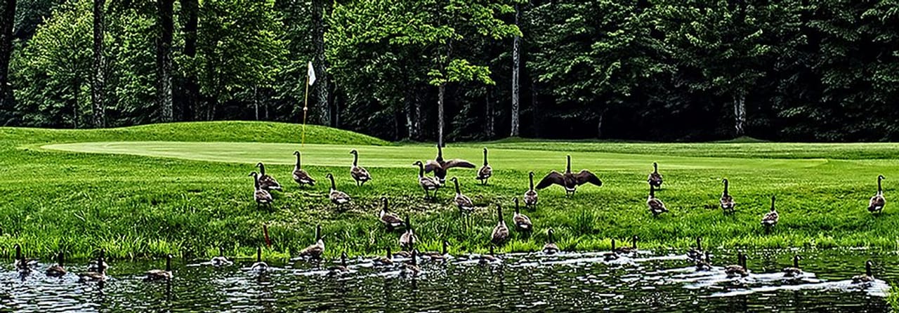 Club de Golf Verchères (Verchères)