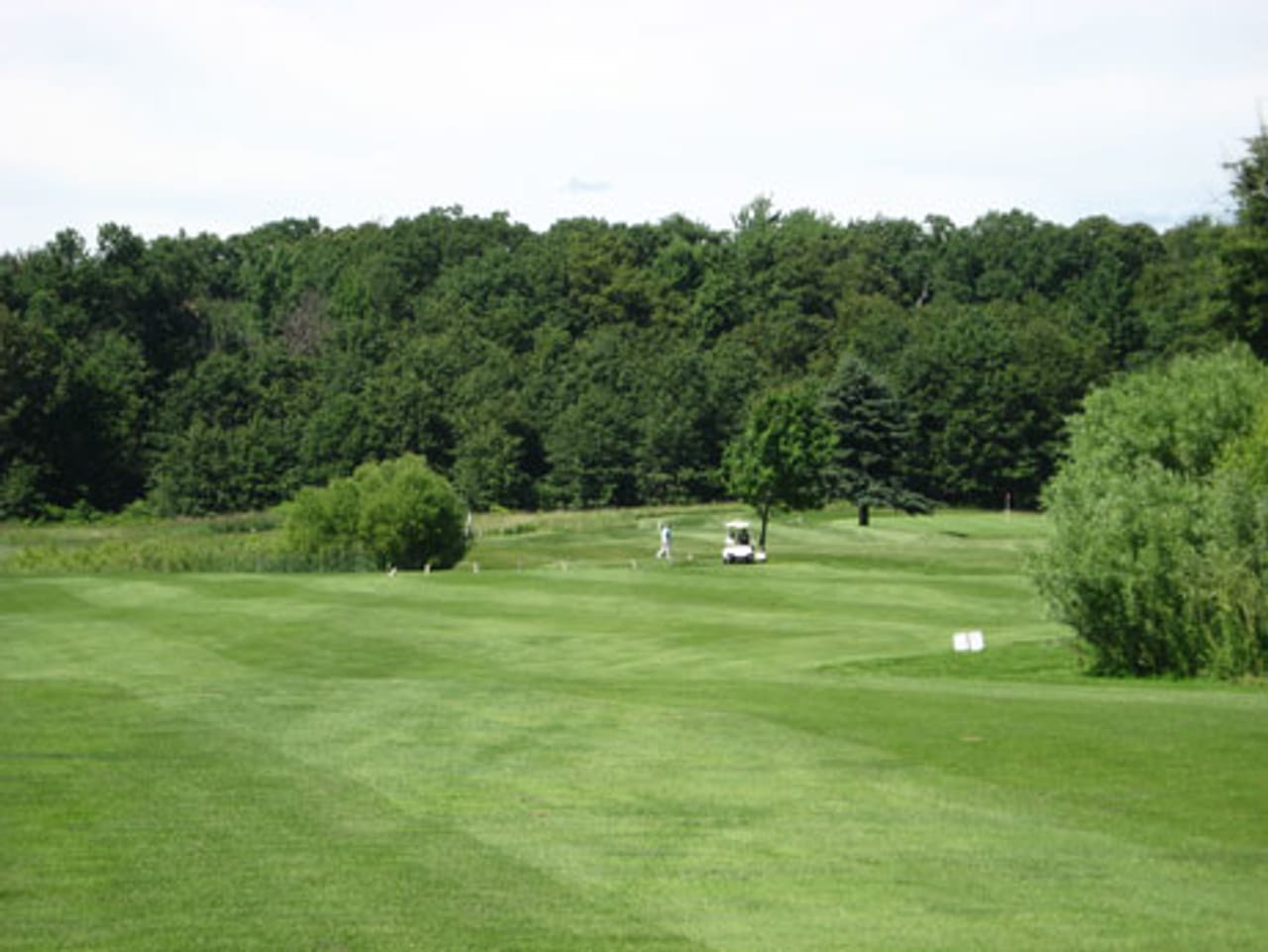 Mulberry Hills Golf Club