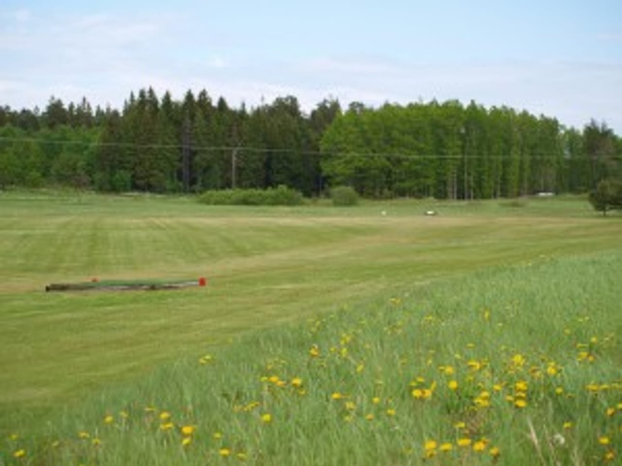 Waldemarsviks Golfklubb (Main)