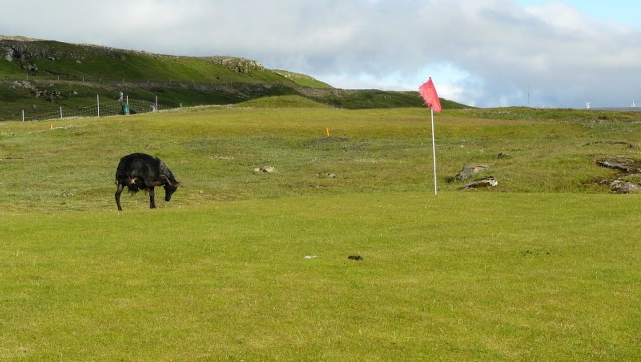 Tórshavnar Golffelag