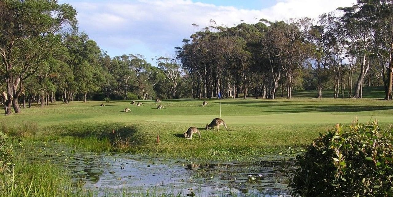 Woolgoolga Golf Club