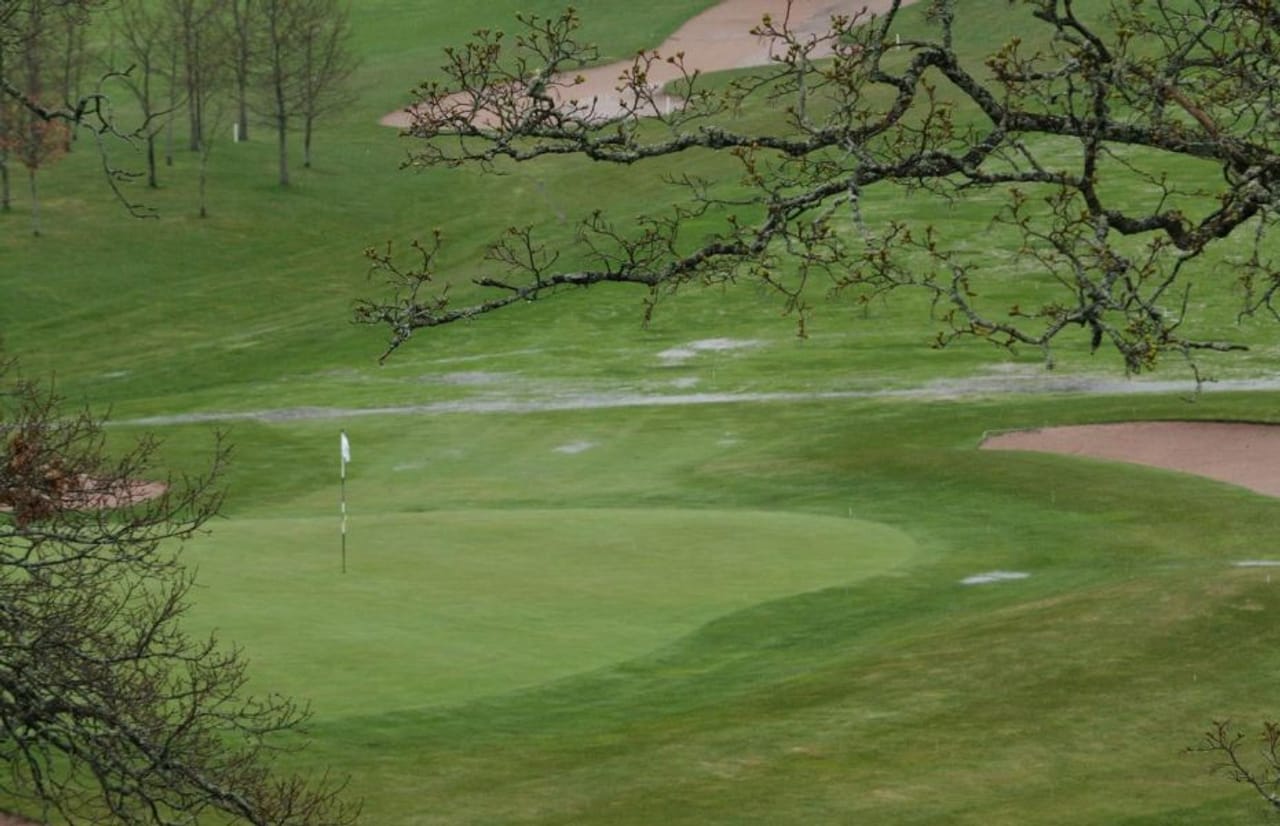 Master Golf Club (Forest)