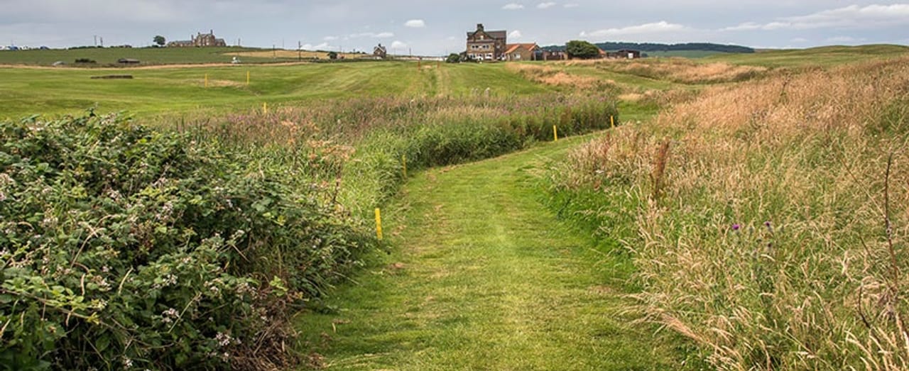 Whitby Golf Club