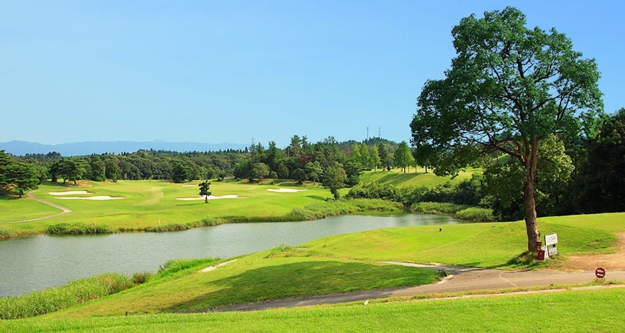 Cherry Golf Wakura