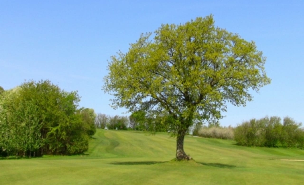 Blommenslyst Golfklub (9h)