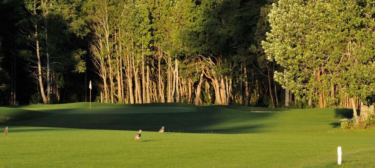 Nevados de Villarrica Golf