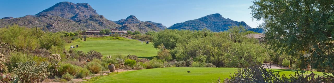 The Highlands at Dove Mountain