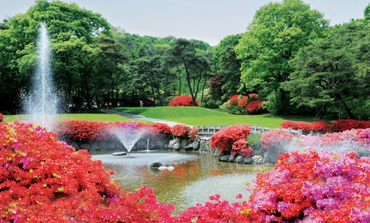 New Korea Country Club