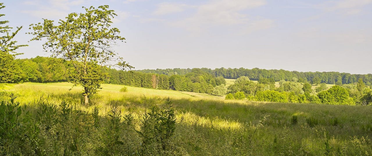 Golf Saint Apollinaire (Fruit Garden)